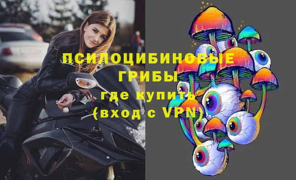 сатива Абдулино