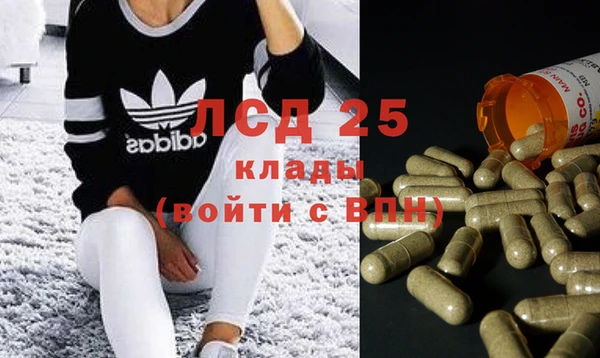спайс Няндома
