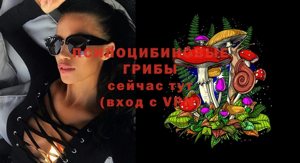 сатива Абдулино