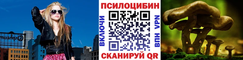 где можно купить наркотик  гидра ONION  Псилоцибиновые грибы Cubensis  Щёлково 